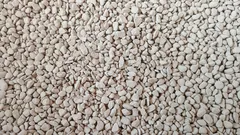 Ich habe das in die Erde gemischt – und die Pflanzen haben aufgehört zu faulen und zu verkümmern